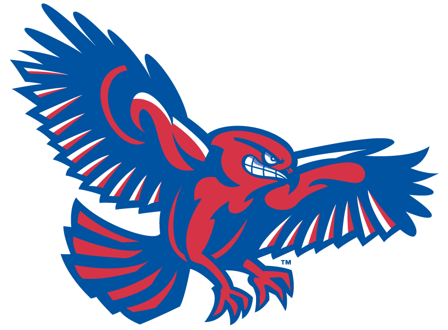 UMass Lowell River Hawks 2006-2012 Secondary Logo v3 diy iron on heat transfer